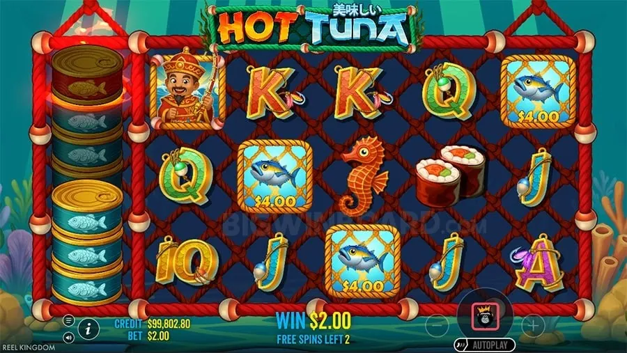 bingoplus.com mobile app and experience