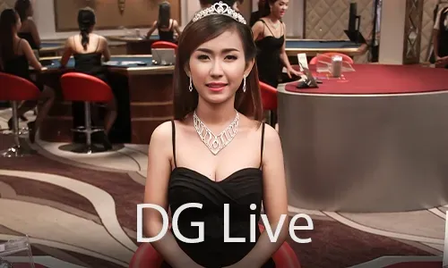 Secure and transparent online gaming operations at bingoplus.com