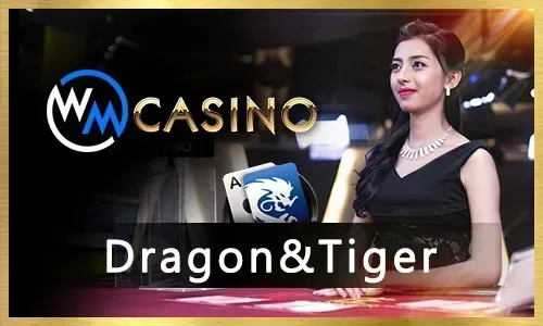 Exclusive bonuses and loyalty rewards at bingoplus.com